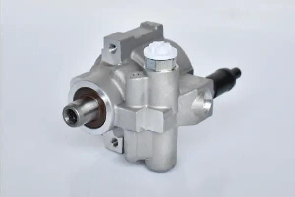 Hydraulic Pump, steering (73425)