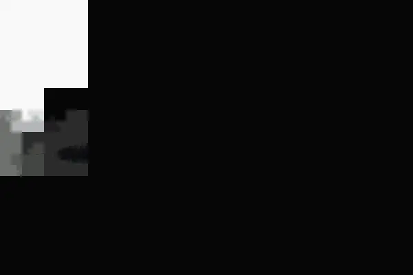 Steering Gear (73817)