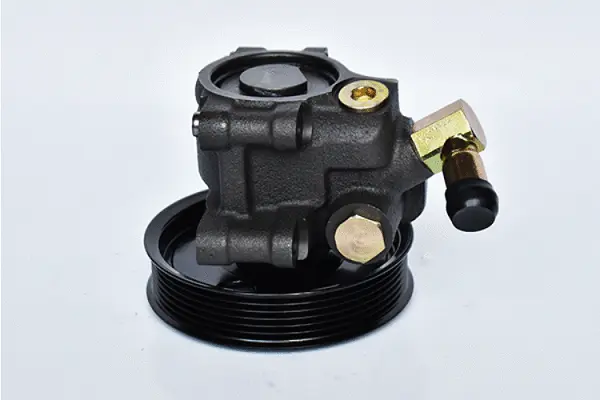 Hydraulic Pump, steering (73444)