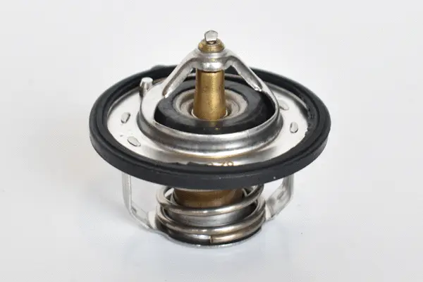 Thermostat, coolant (75203)