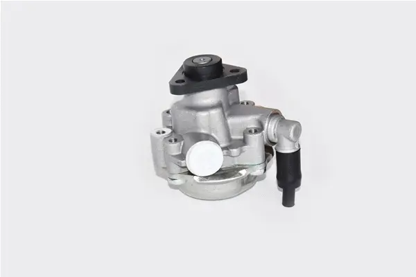 Hydraulic Pump, steering (99399)