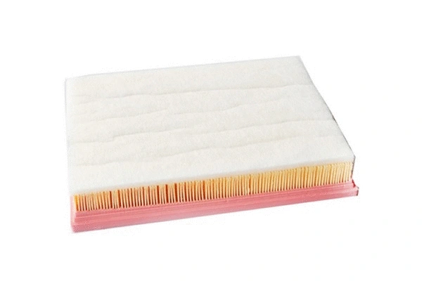 Air Filter (71702)