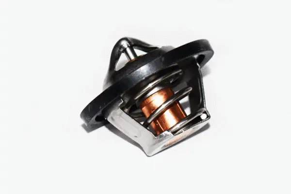 Thermostat, coolant (73347)