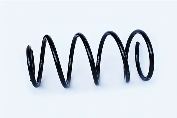 Suspension Spring (73739)