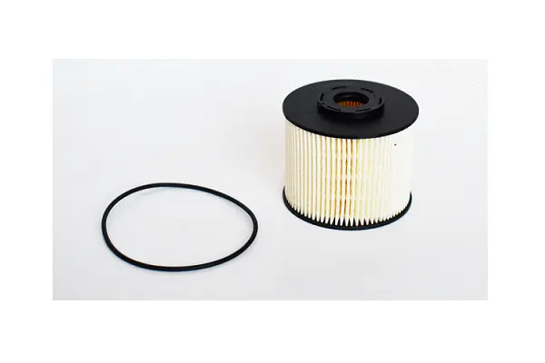 Fuel Filter (77131)