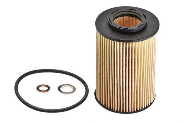 Oil Filter (70137)