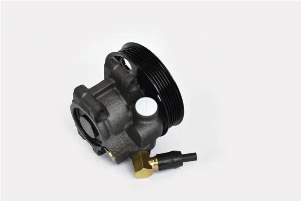 Hydraulic Pump, steering (99401)
