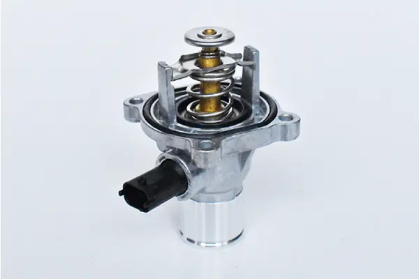 Thermostat, coolant (73300)