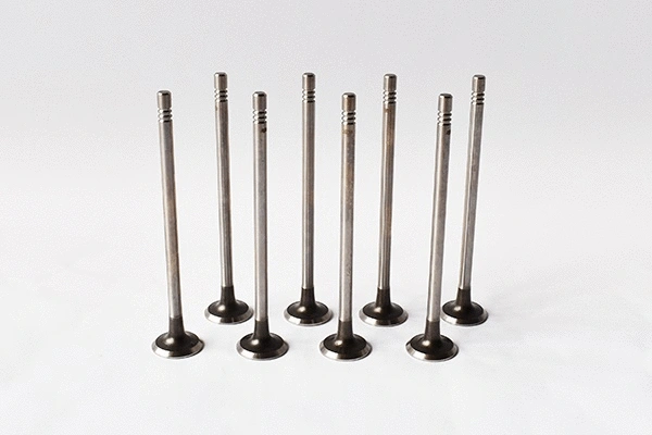 Exhaust Valve (55827)