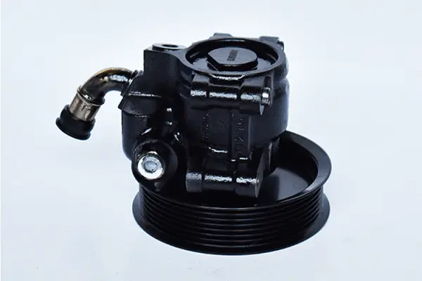 Hydraulic Pump, steering (73419)