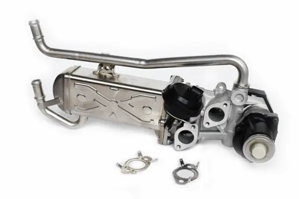 EGR Valve (73299)