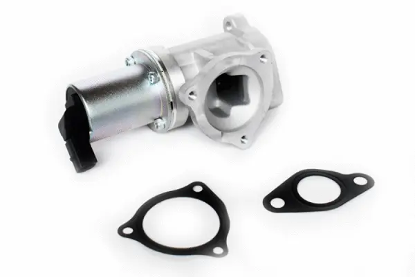 EGR Valve (73338)