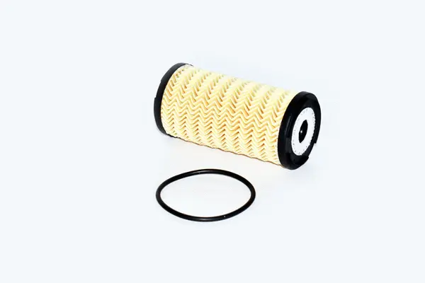Oil Filter (76731)