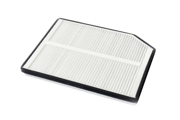 Filter, cabin air (71688)