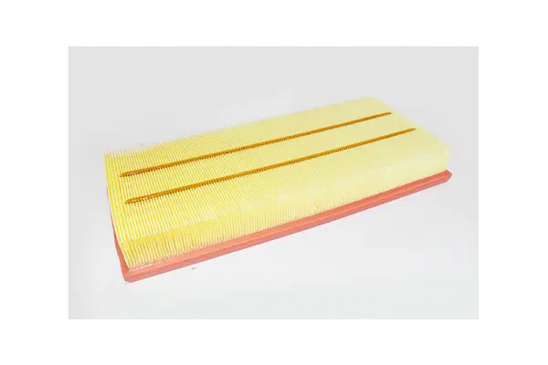 Air Filter (77690)