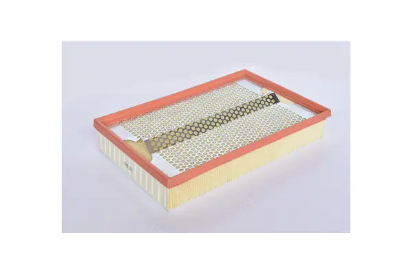 Air Filter (77100)