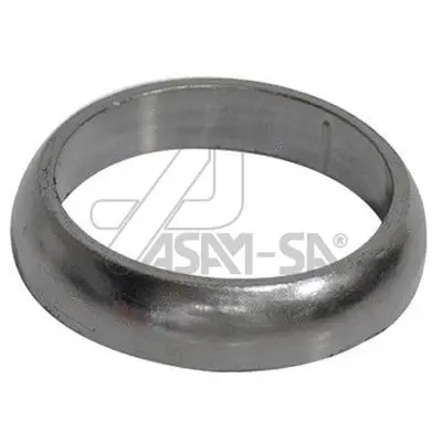 Seal Ring, exhaust pipe (30599)