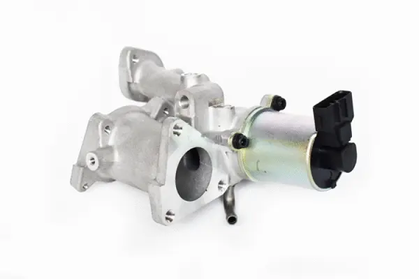 EGR Valve (73478)