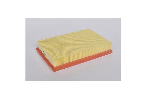Air Filter (77094)