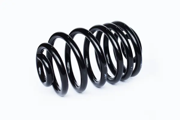 Suspension Spring (73755)