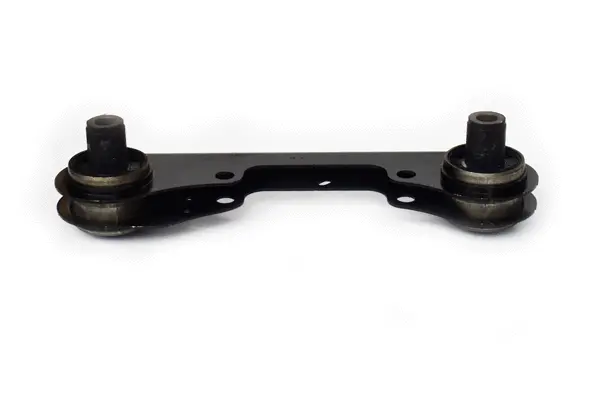 Mounting, differential (73540)