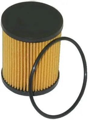 Oil Filter (30549)