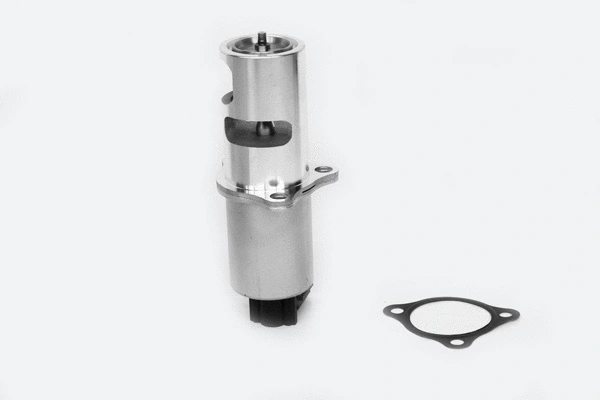 EGR Valve (33693)