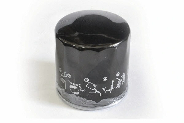 Oil Filter (30569)