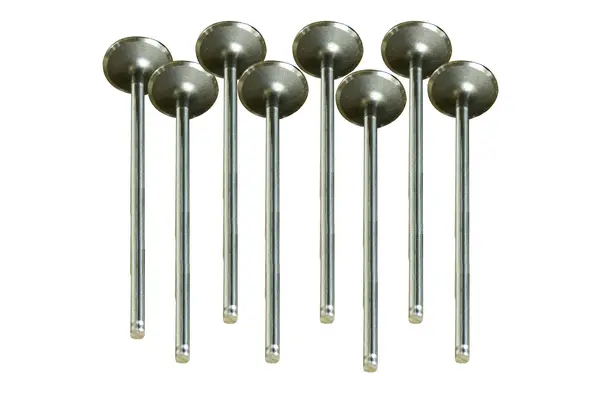 Intake Valve (30471)