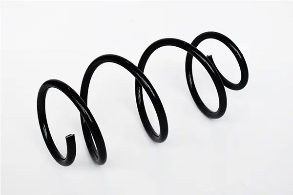 Suspension Spring (73810)