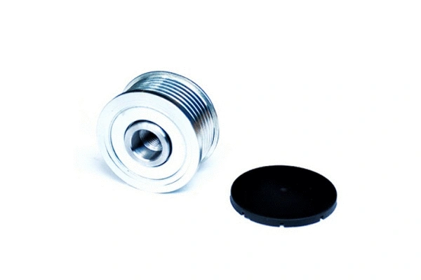 Alternator Freewheel Clutch (55205)