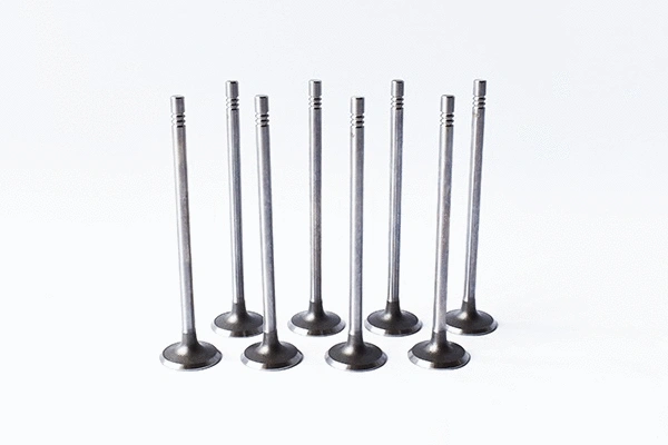 Intake Valve (55828)