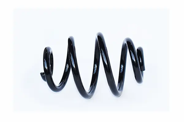 Suspension Spring (73791)