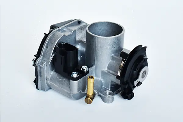 Throttle Body (75395)