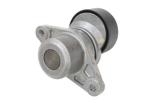 Tensioner Lever, V-ribbed belt
