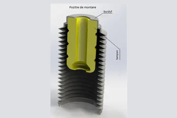 Protective Cap/Bellow, shock absorber