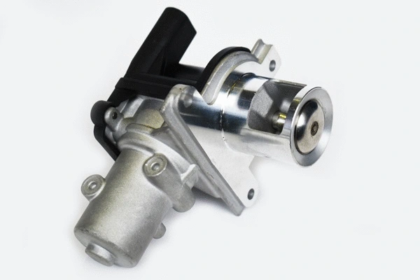 EGR Valve (33679)