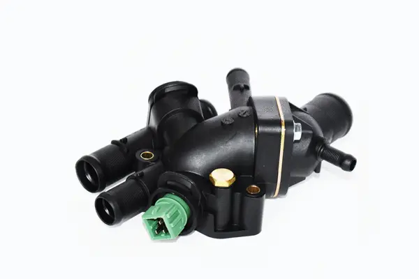 Thermostat, coolant (73666)