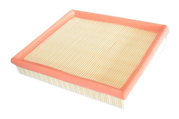 Air Filter (30522)