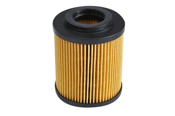 Oil Filter (30556)