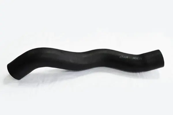 Charge Air Hose (30871)