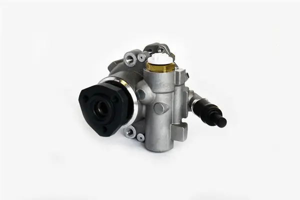 Hydraulic Pump, steering (99398)