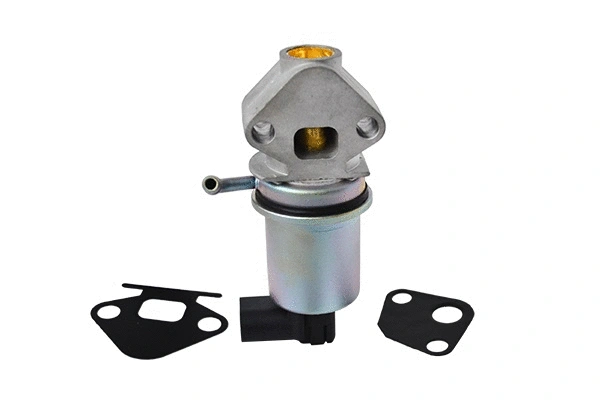 EGR Valve (74219)