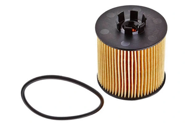 Oil Filter (70104)