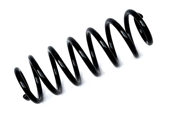 Suspension Spring (75955)