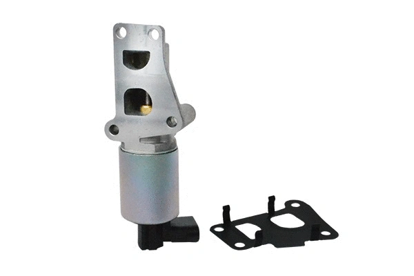 EGR Valve (74218)