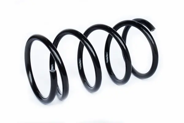 Suspension Spring (73745)