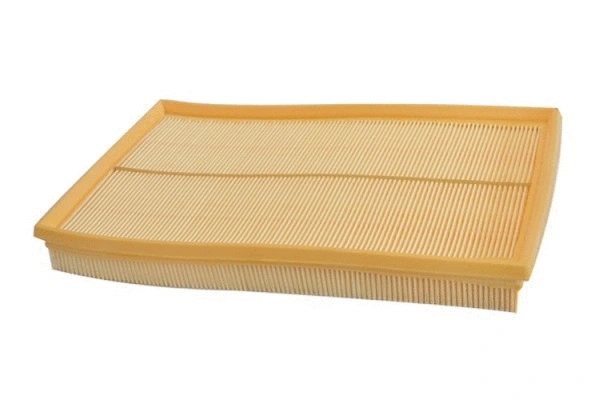 Air Filter (70310)