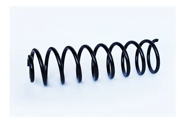 Suspension Spring (73768)