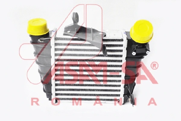 Charge Air Cooler (32424)